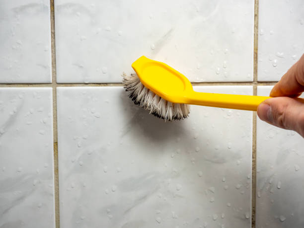 Office Mold Removal Services in Laughlin, NV
